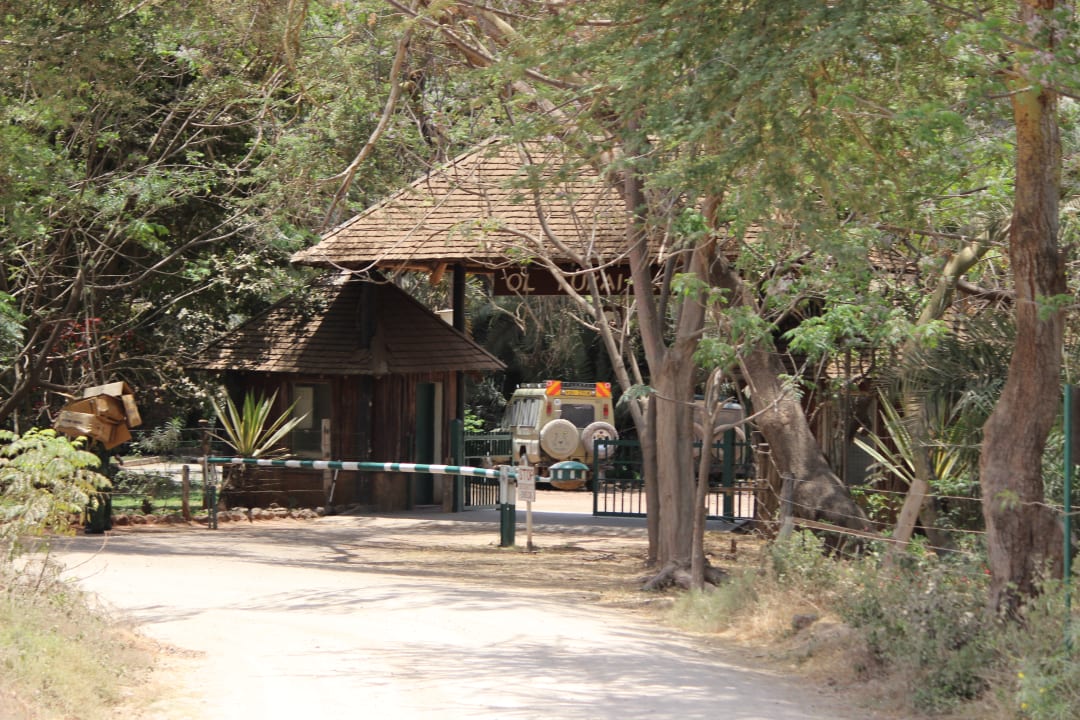 Gartenanlage Ol Tukai Lodge