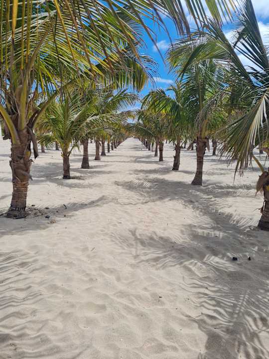 Strand Hotel Riu Karamboa