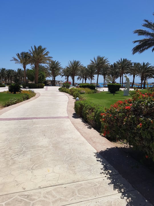 Weg zum Strand Palm Royale Resort - Soma Bay