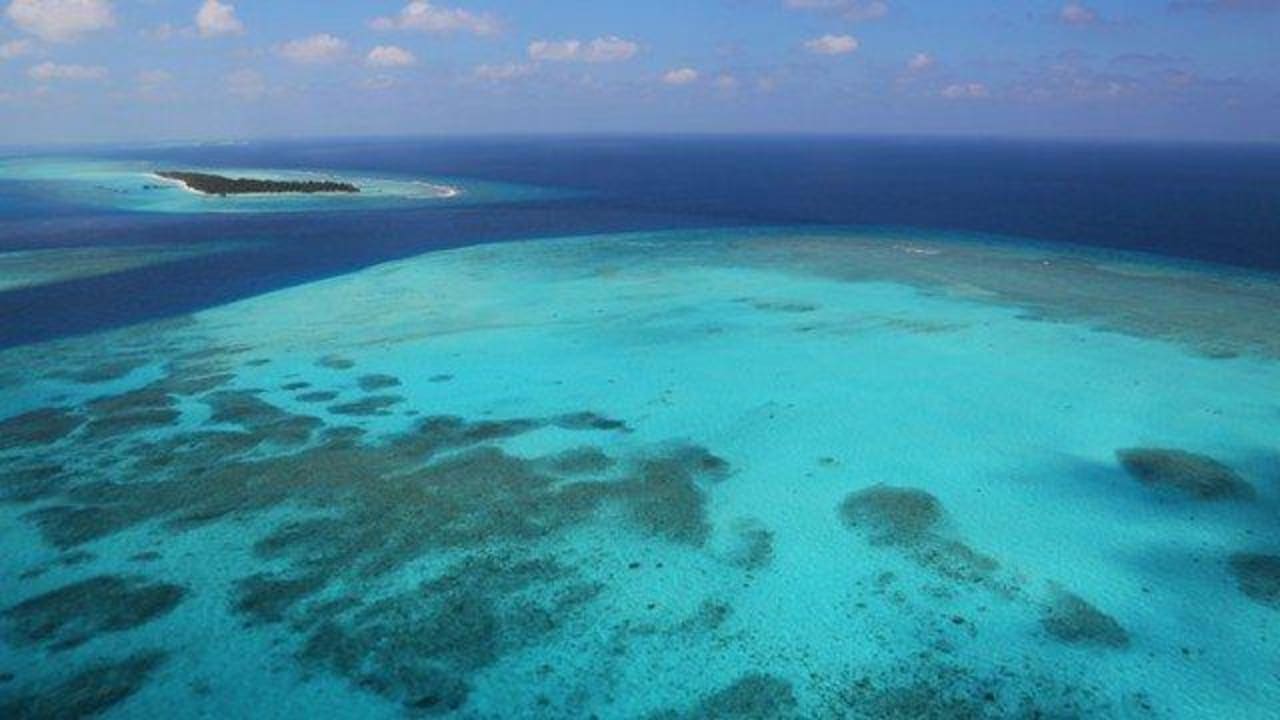 Leisure and panorama Palm Beach Resort & Spa Maldives