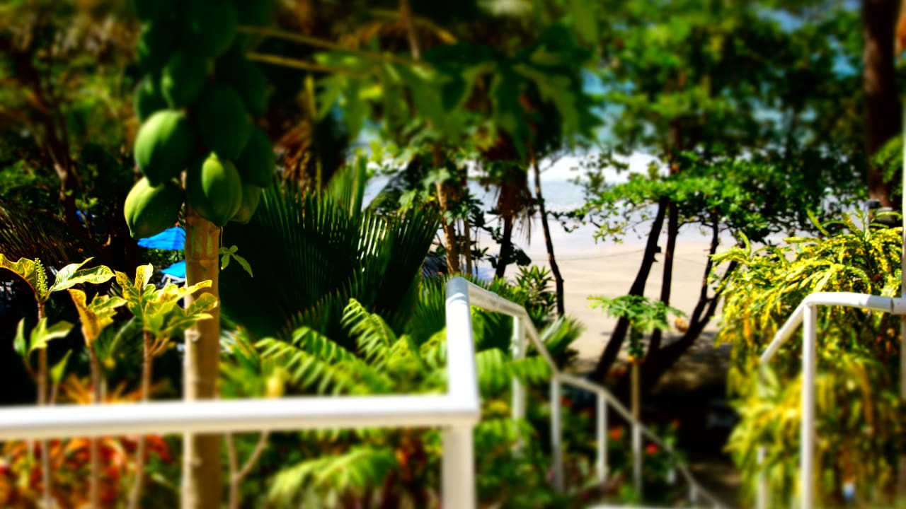 Gartenanlage Hotel Bacolet Beach Club