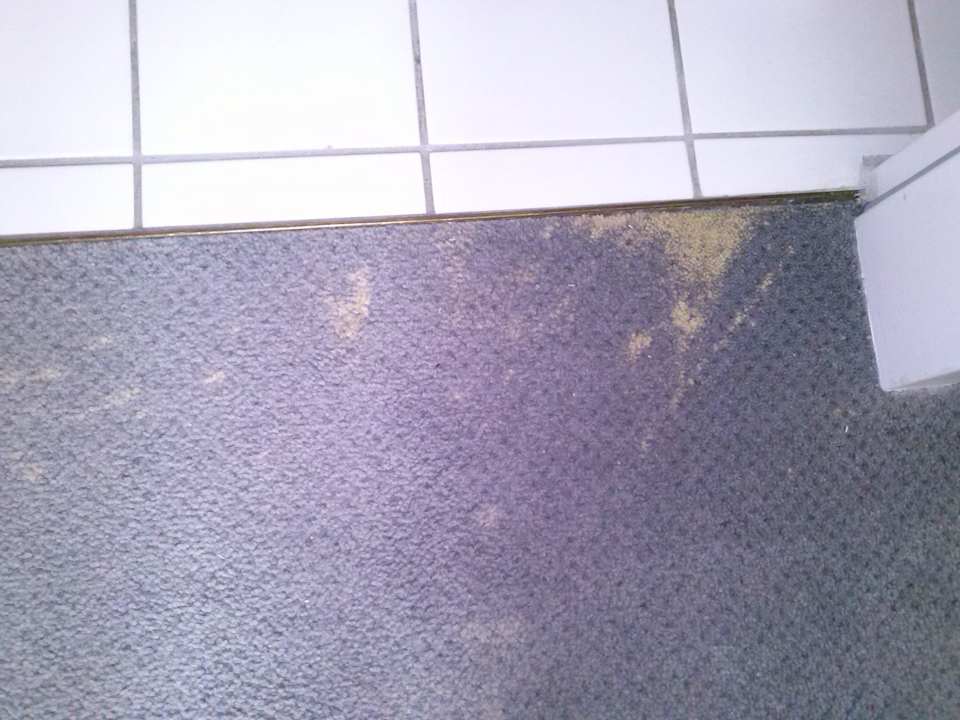 Fleckiger teppich Hotel Wartburg