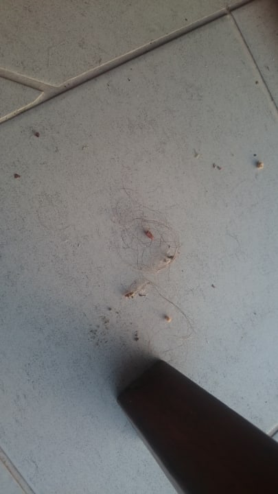 Restaurant All Senses Nautica Blue Exclusive Resort & Spa