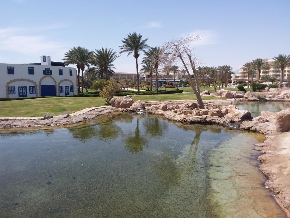 Aussenanlage  Palm Royale Resort - Soma Bay