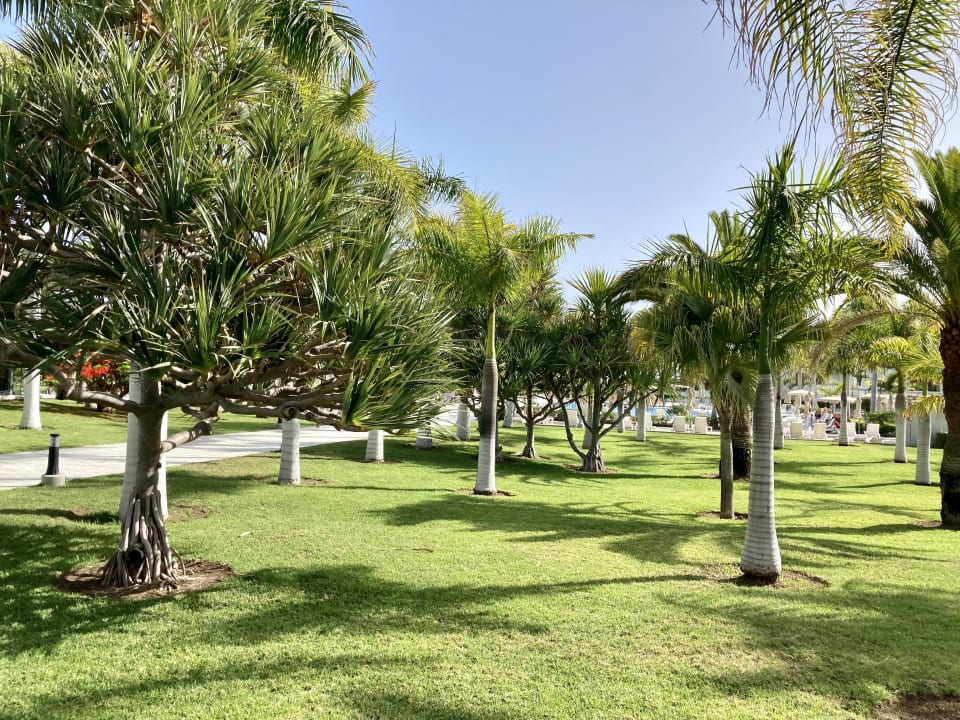 Gartenanlage Hotel Riu Palace Meloneras