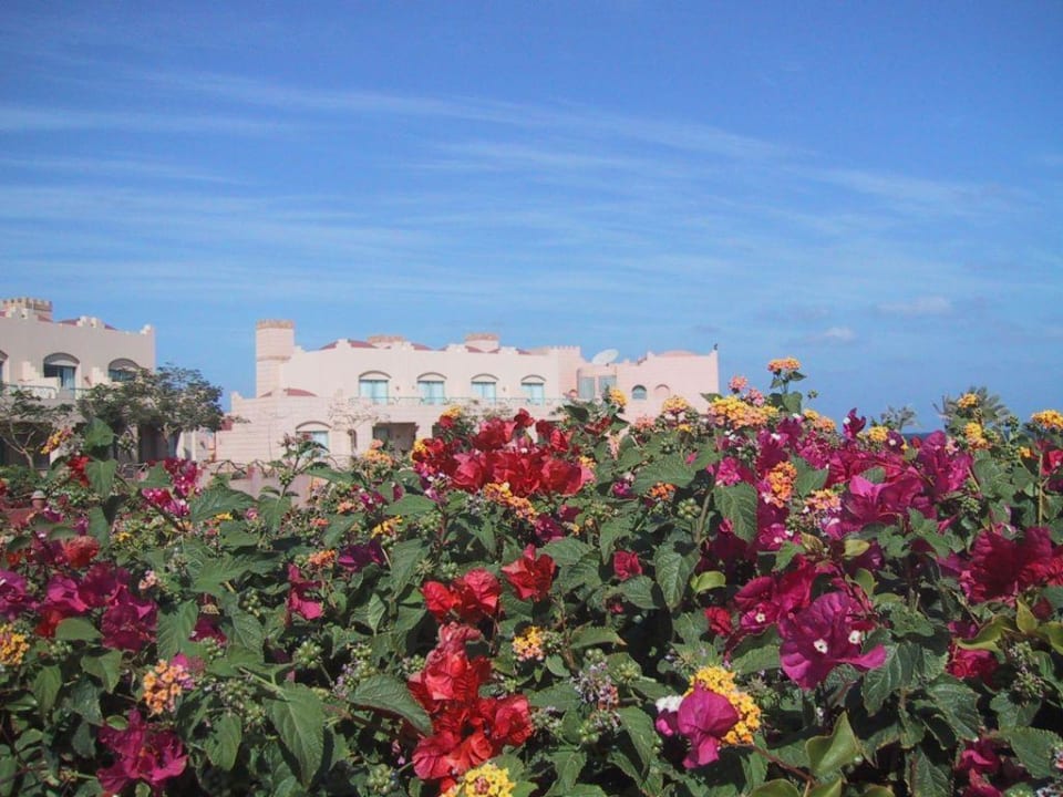 Ganz Deutschland unter Eis und Schnee! Sentido Akassia Beach