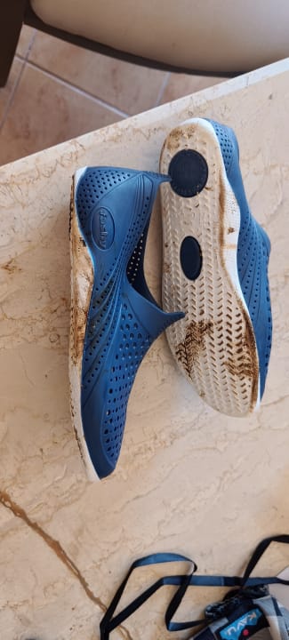 Strand Utopia Beach Club