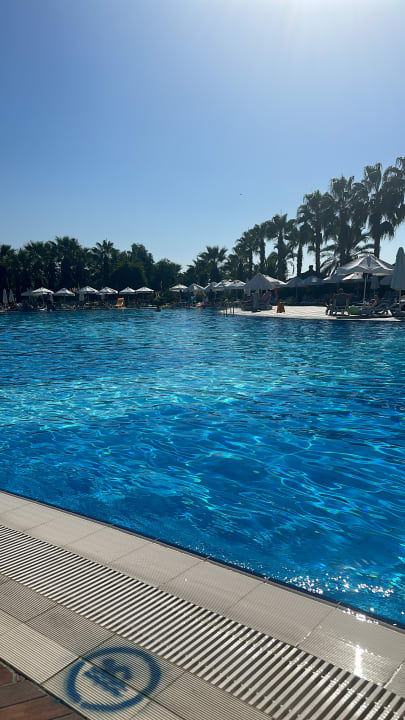 Pool Paloma Oceana
