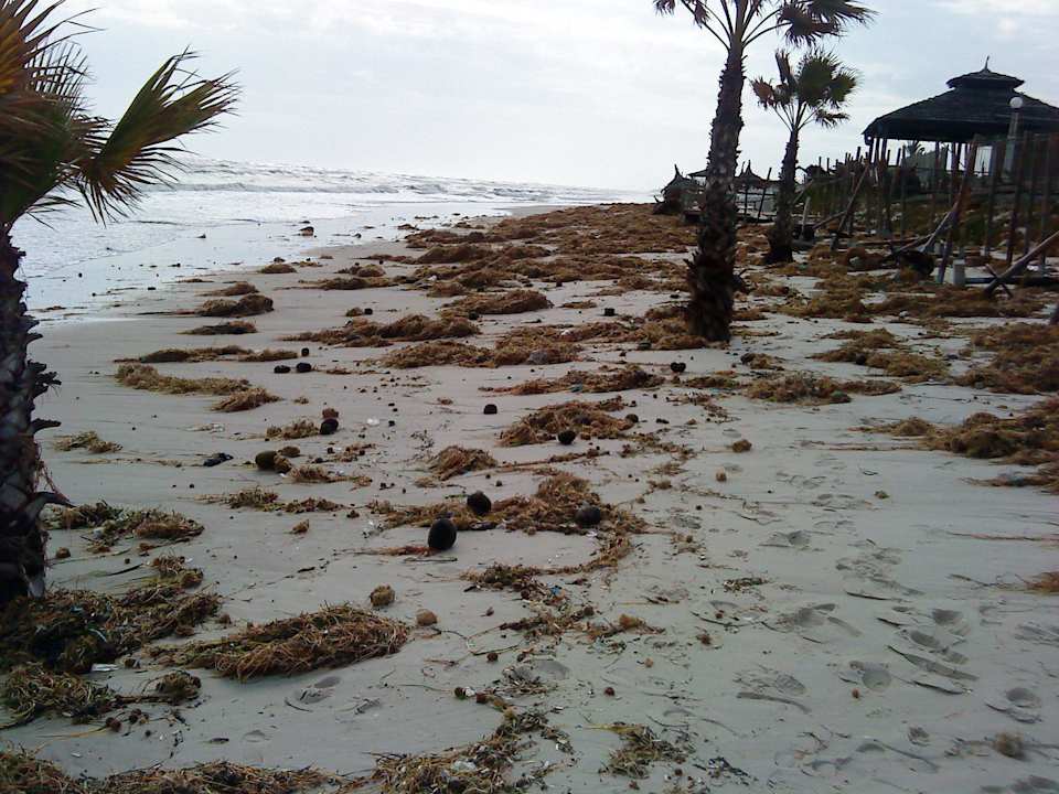 Strand nach dem Unwetter El Mouradi Club Kantaoui