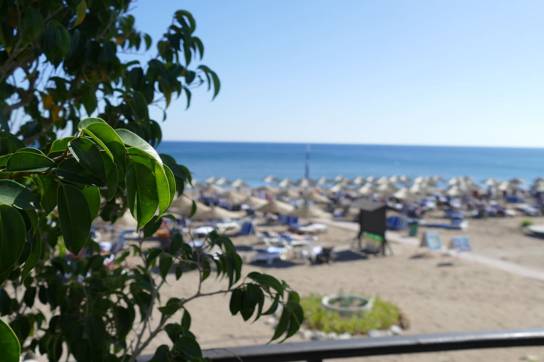 Ausblick Hotel Calypso Beach