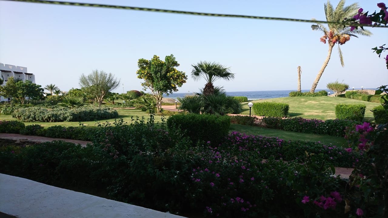 Gartenanlage Three Corners Equinox Beach Resort