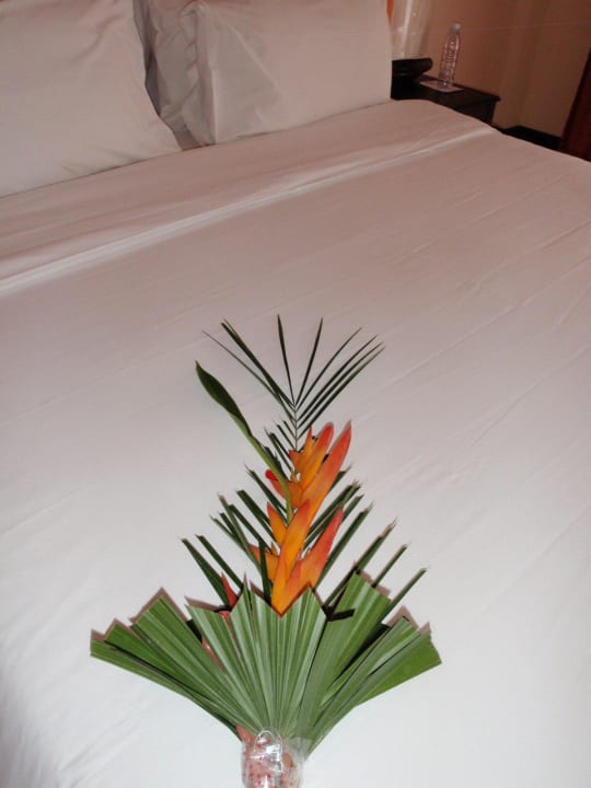 Zimmer 2136 ein Danke an uns Sudala Beach Resort