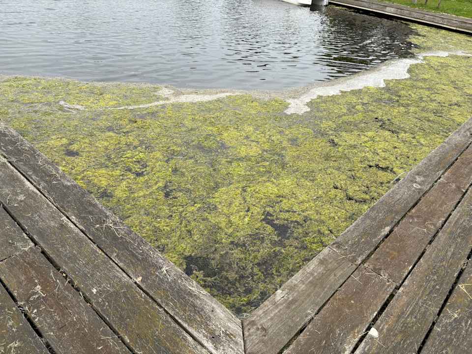 Zimmer Oostappen Vakantiepark Marina Beach