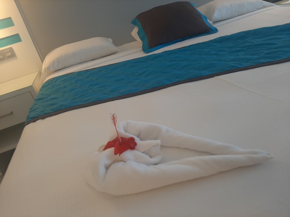 Zimmer Hotel Riu Republica - Adults only