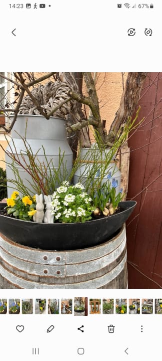 Außenansicht Gästehaus Schulz