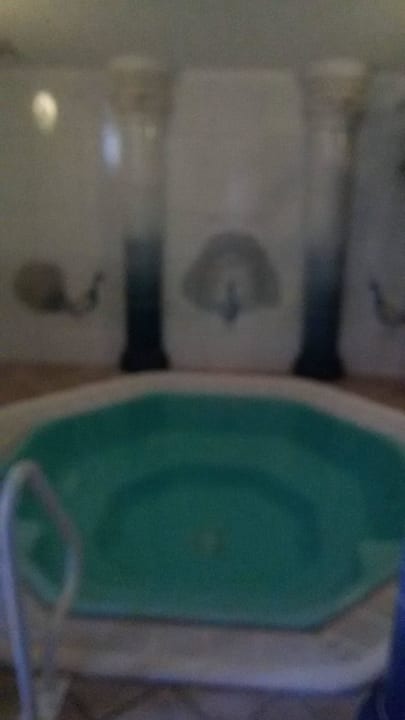 Pool Burghotel Haselünne