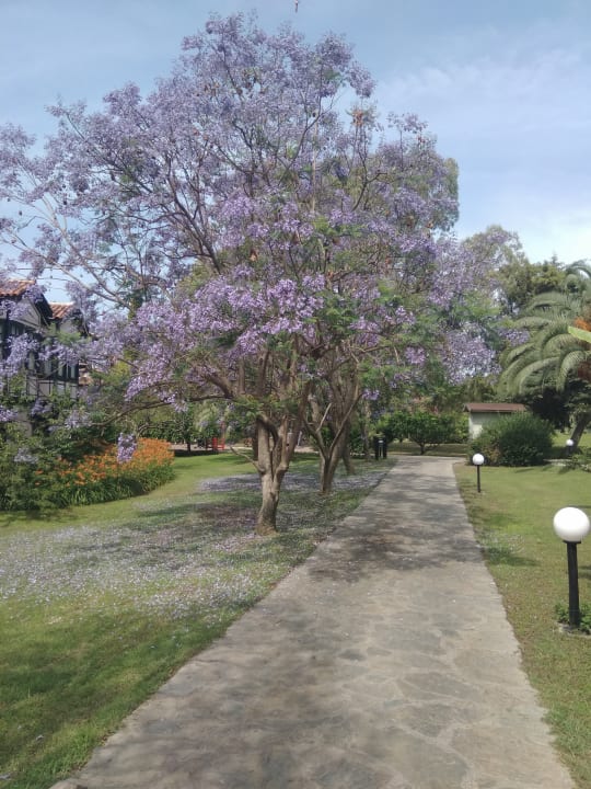 Gartenanlage Sunrise Resort Hotel