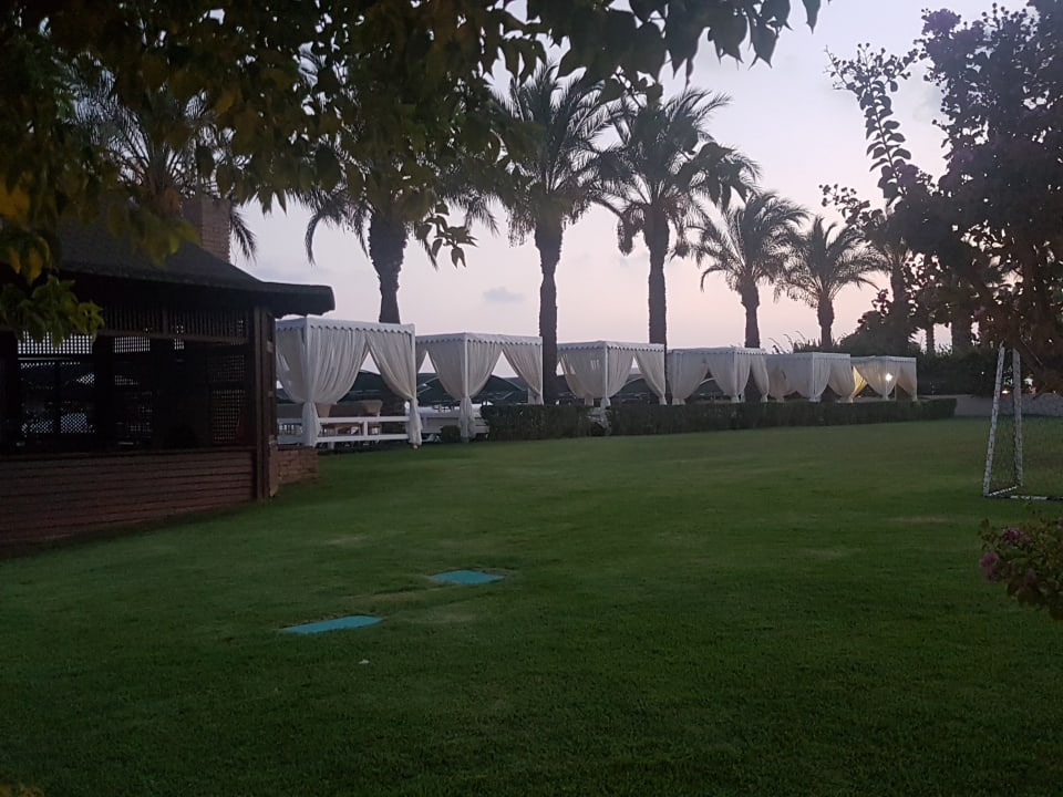 Strand Papillon Ayscha