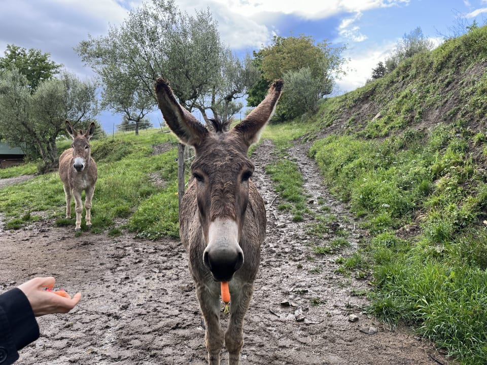 Sonstiges Convento di Novole