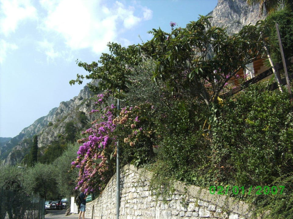 Villa Dirce Villa Dirce