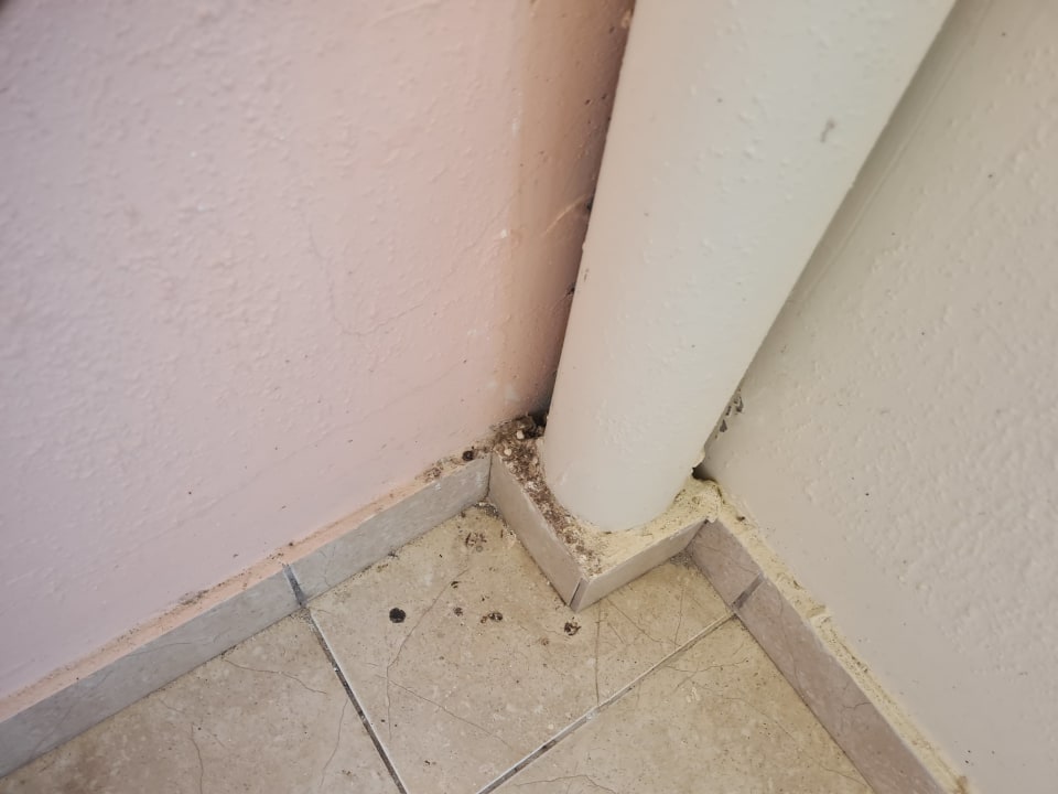 Zimmer Myrina Beach Hotel