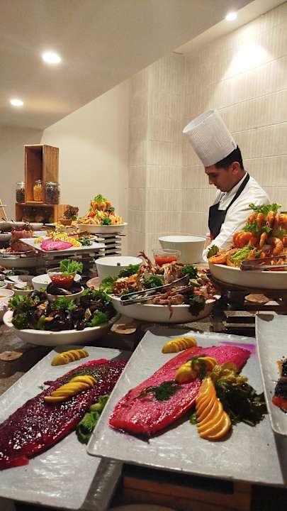 Gastro JAZ Elite Asteria