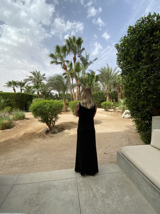 Gartenanlage Cook's Club El Gouna