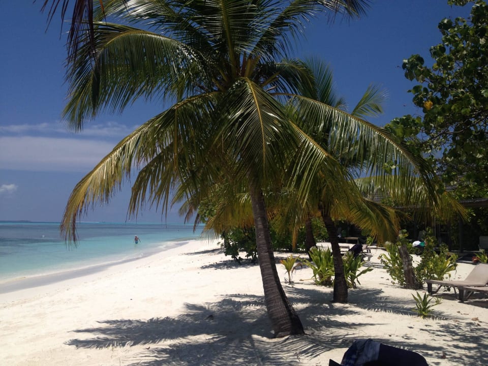 JBV 134 Kuredu Island Resort & Spa