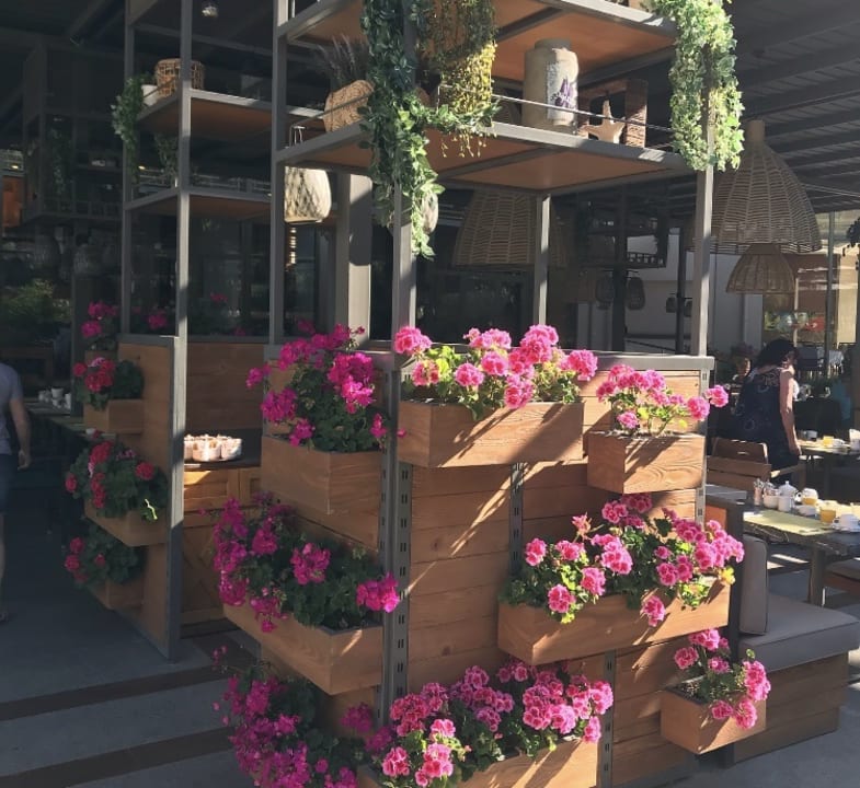 Gastro Arum Barut Collection