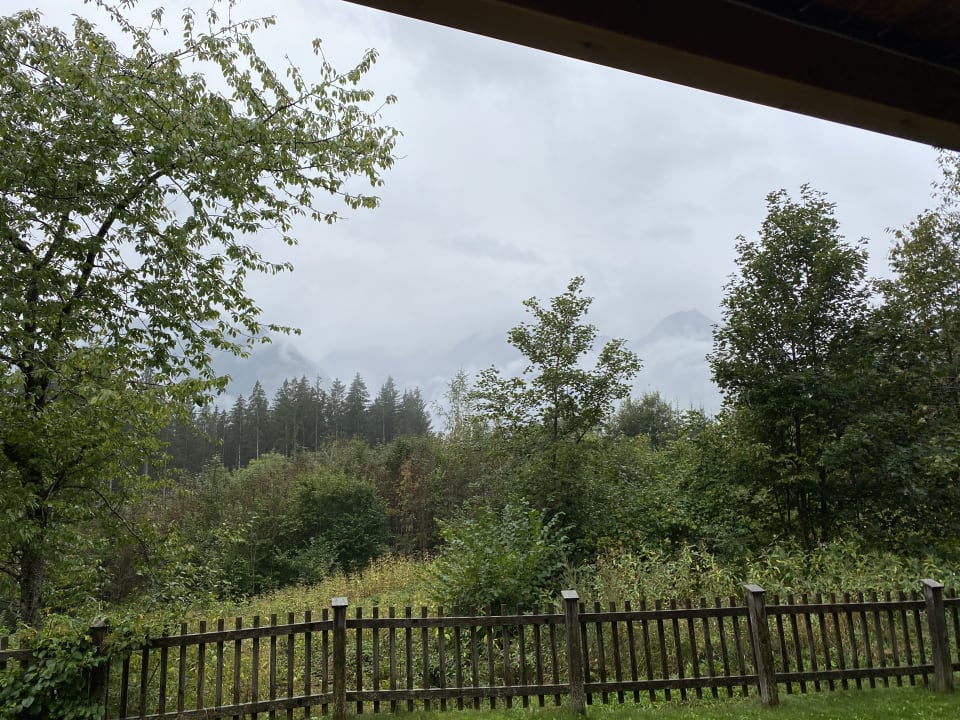 Ausblick Apartment Waldhäusl