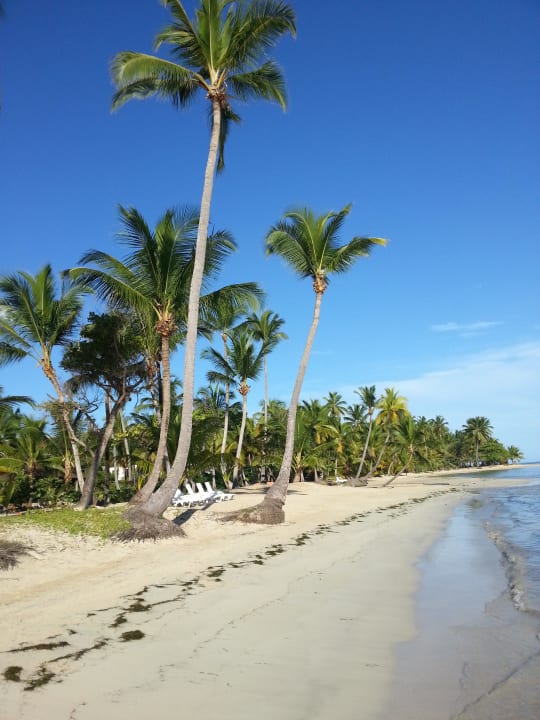 Hotelstrand Rechts Bahia Principe Grand El Portillo