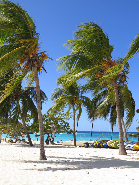 Strand Sol Rio De Luna y Mares