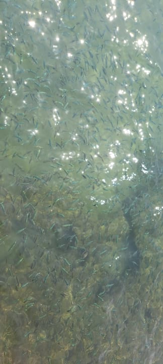 Strand VONRESORT Golden Beach