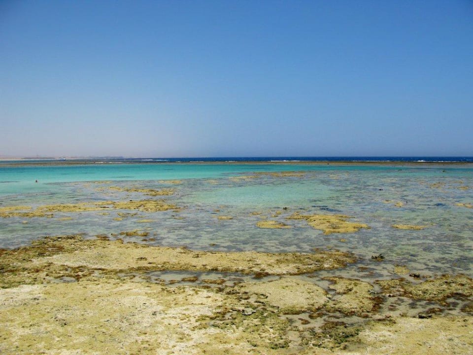 Blick vom Riff an der rechten Strandseite Swisstouch Oriental Resort Marsa Alam