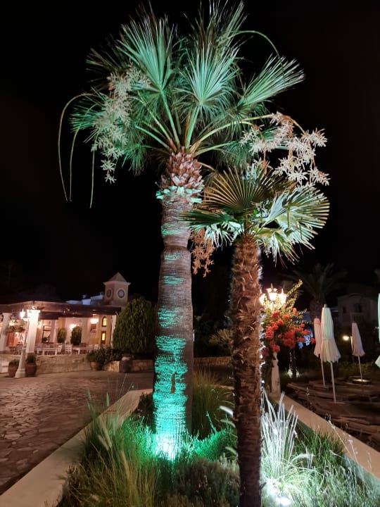 Gartenanlage Neptune Luxury Resort