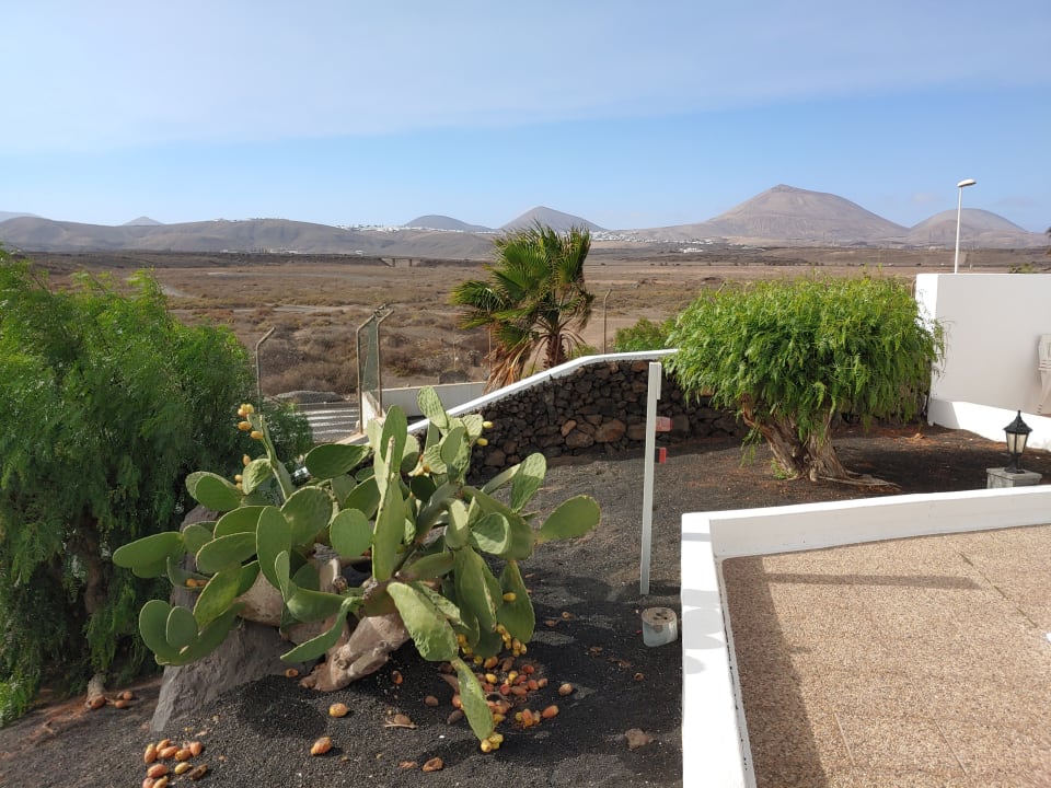 Gartenanlage Hotel Floresta