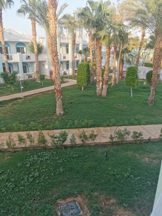 Gartenanlage Mirage Bay Resort & Aqua Park