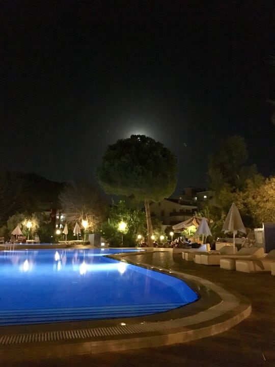 Am Pool Hotel Halici I