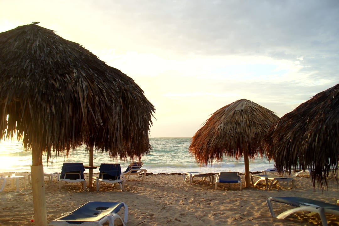 Palmenschirme Punta Cana Princess All Suites Resort & Spa