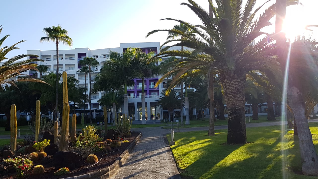 Gartenanlage Hotel Riu Gran Canaria
