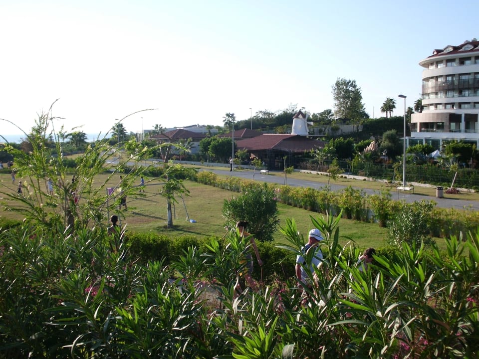Gartenanlage und Nachbarhotel Alba Queen Hotel
