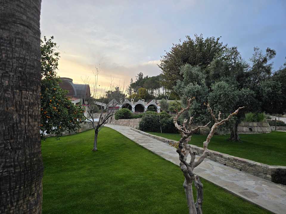 Sonstiges Arum Barut Collection