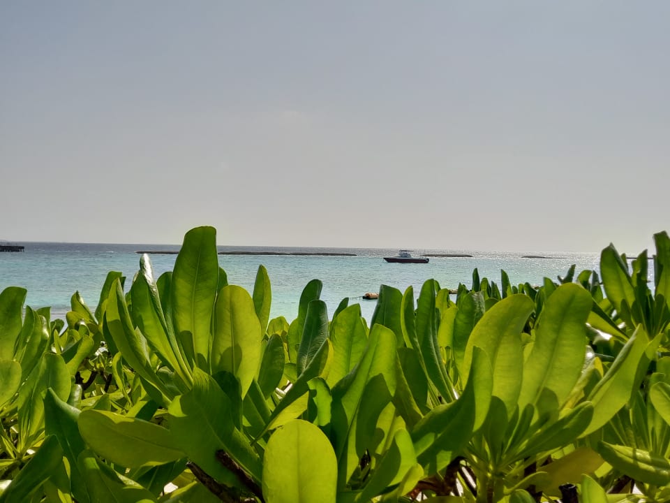 Ausblick Adaaran Select Meedhupparu Island Resort - Premium All Inclusive