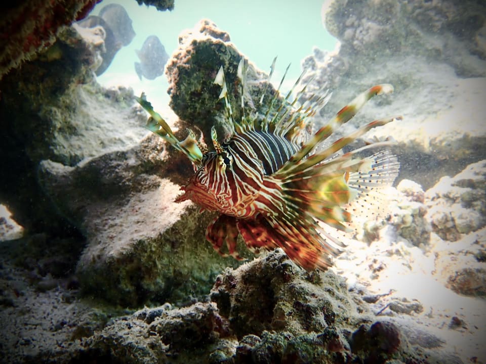 Sport & Freizeit Three Corners Happy Life Beach Resort