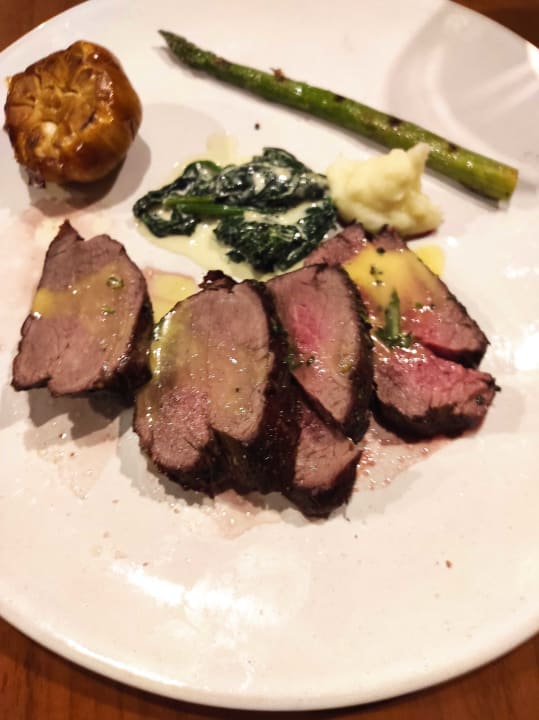 Gastro Acanthus Cennet Barut Collection