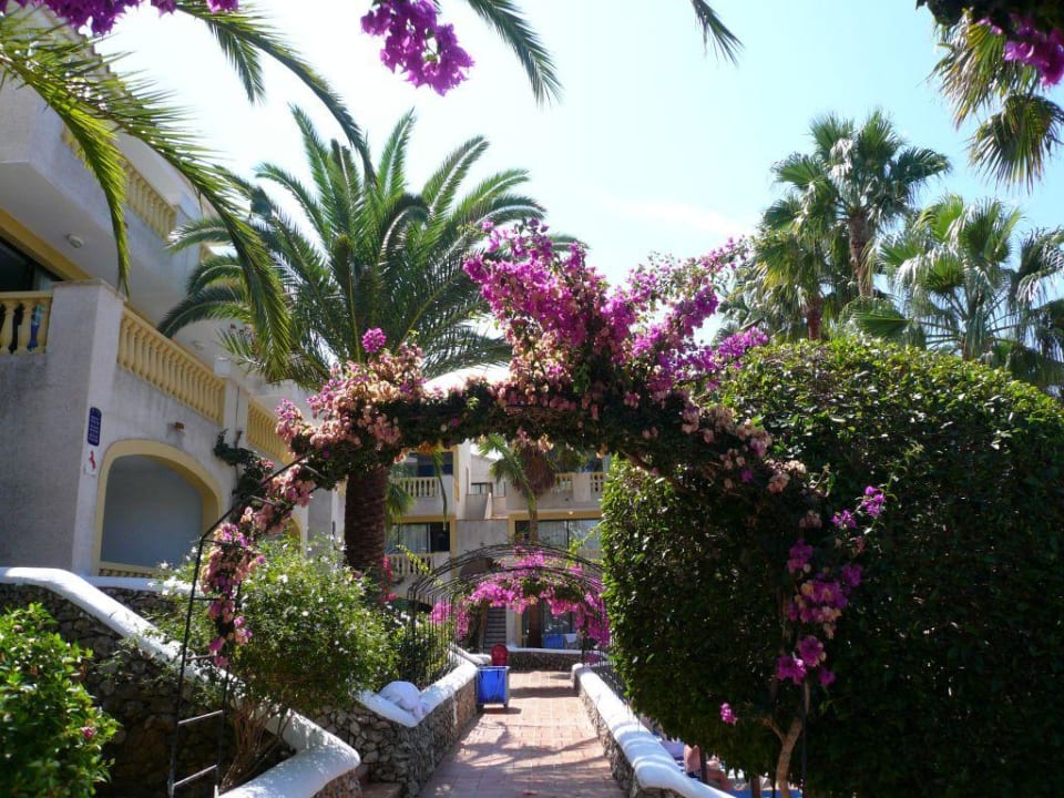 Blumen am Pool Royal Son Bou Family Club