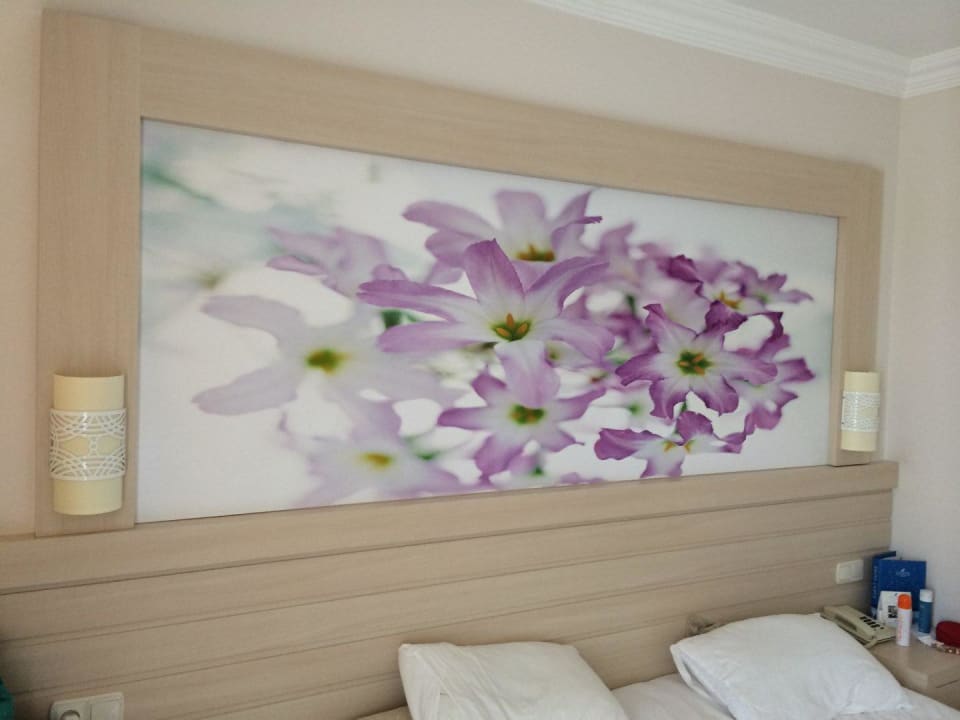 Zimmer Seaden Corolla Hotel