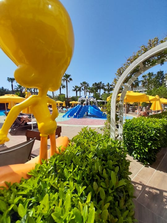 Pool Calimera Hane Garden