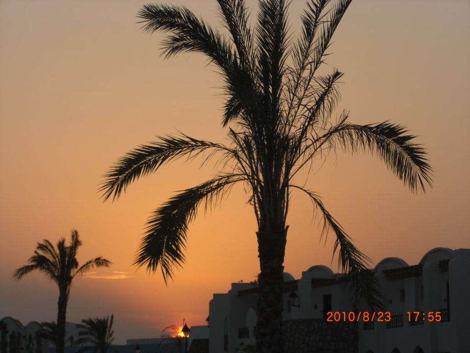 Sunset Hotel Gorgonia Beach Resort