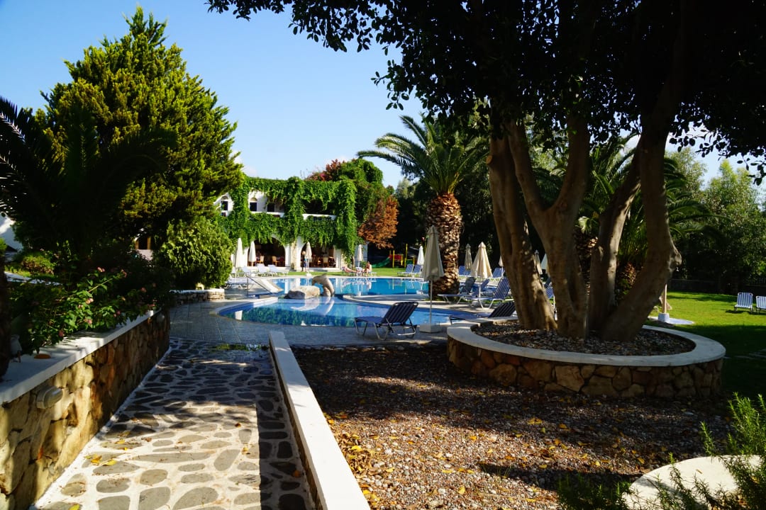 Pool Ekaterini Hotel